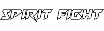 Spirit Fight