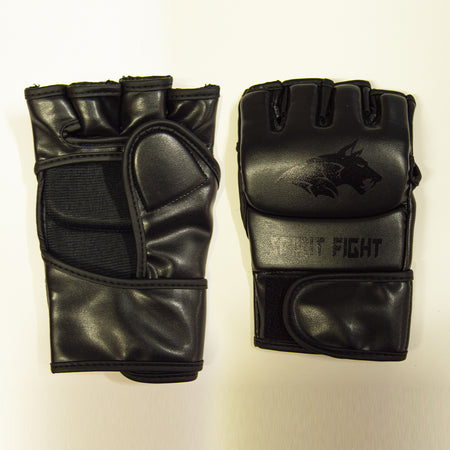 Gant MMA Spirit Fight